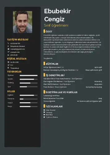 Sınıf Öğretmeni Cv Örnekleri cv indir